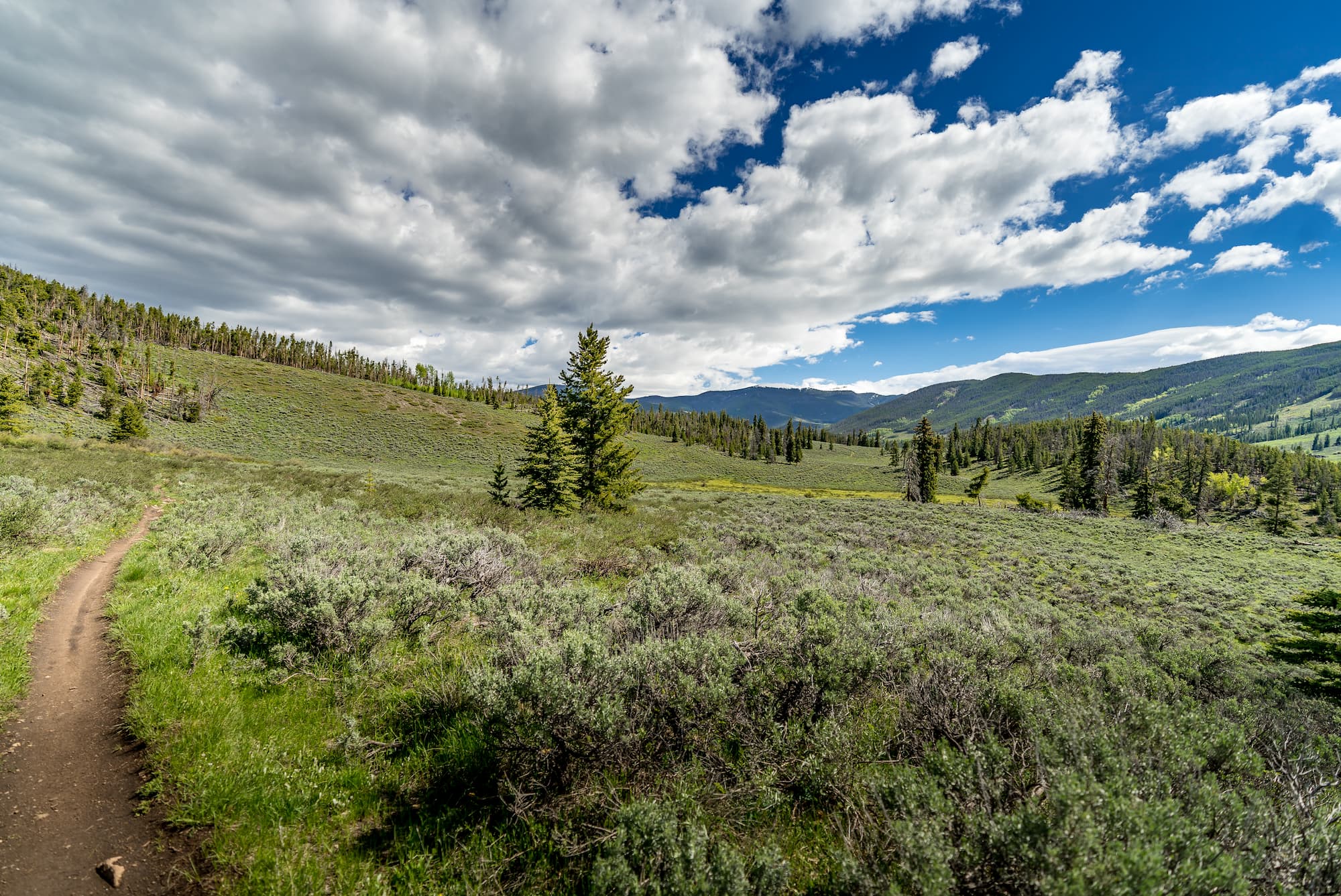 Top 5 Breckenridge Mountain Biking Trails Summit County Base Mountain Sports