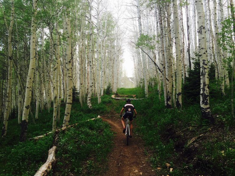 Beaver Creek and Vail Mountain Biking