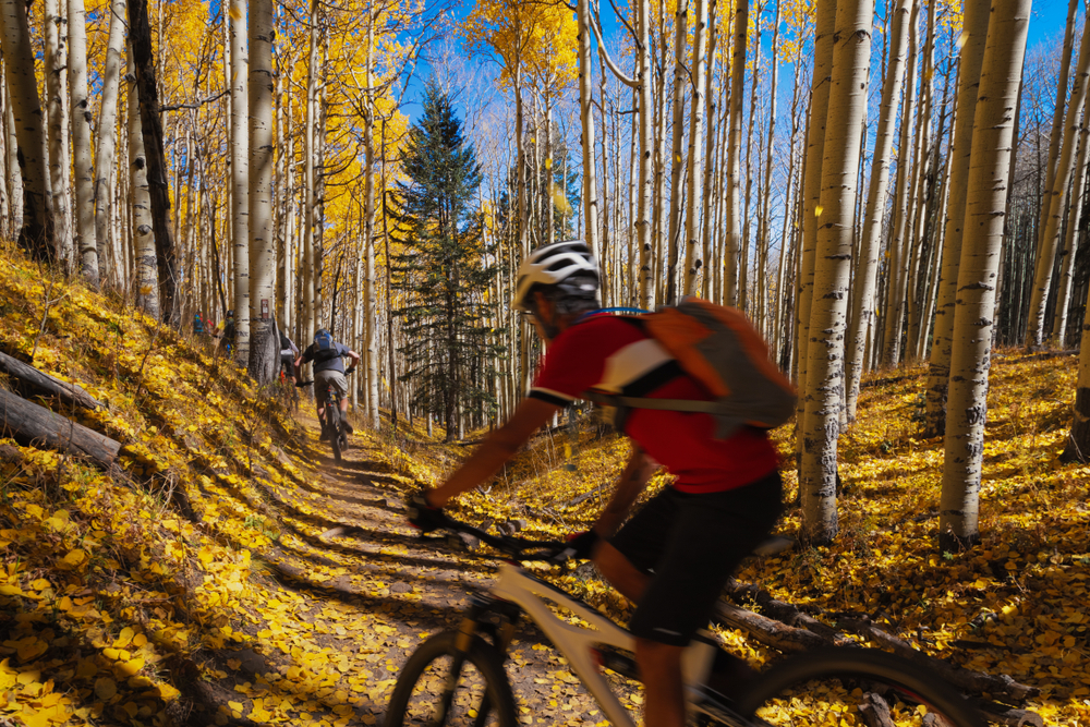 Best Places for Mountain Biking Colorado
