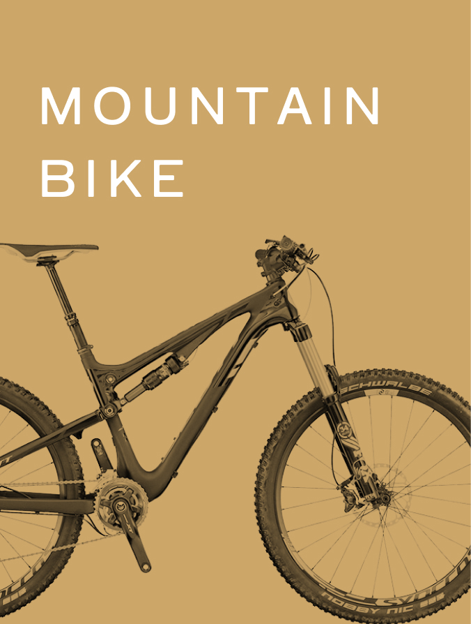 Mountain Bike