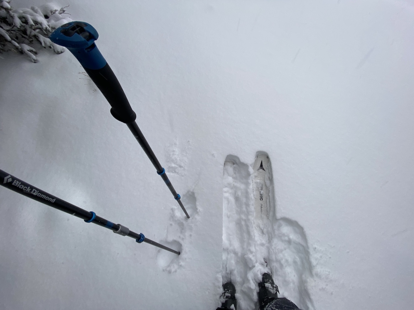 Snow Predictions