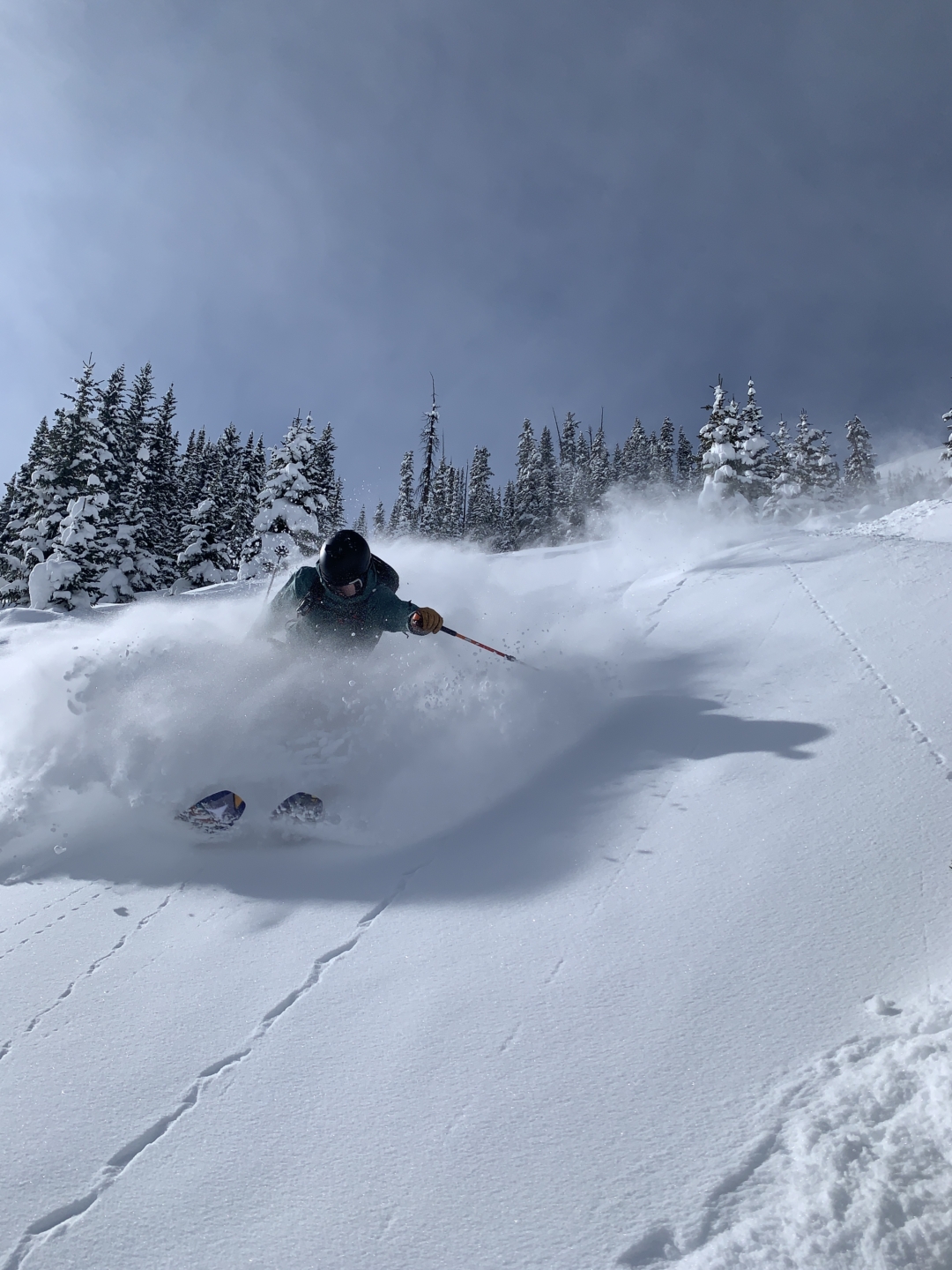 Powder skier